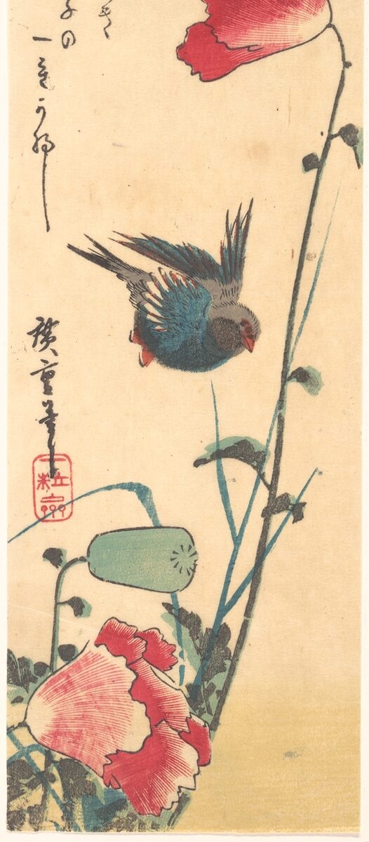 Bluebird and poppies, classic flash, Utagawa Hiroshige