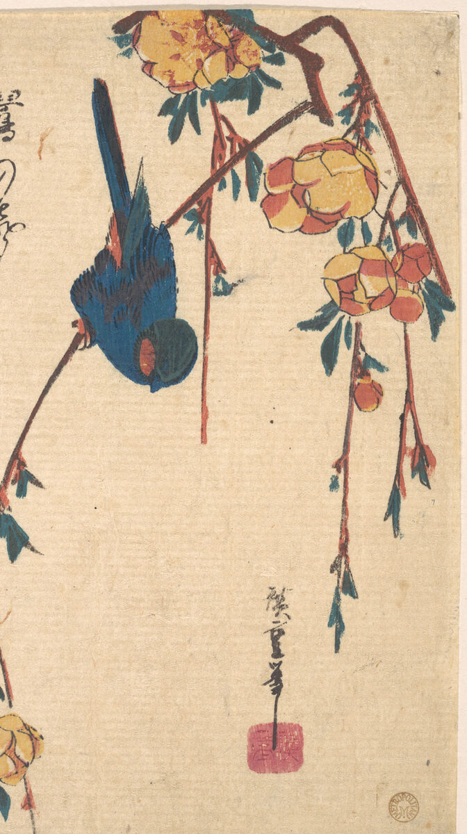 Bluebird on weeping cherry, classic flash, Utagawa Hiroshige