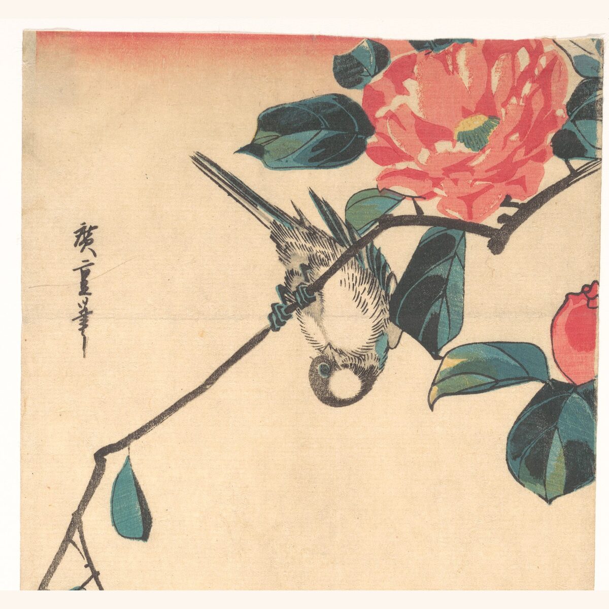 Bullfinch and camellia, classic flash, Utagawa Hiroshige