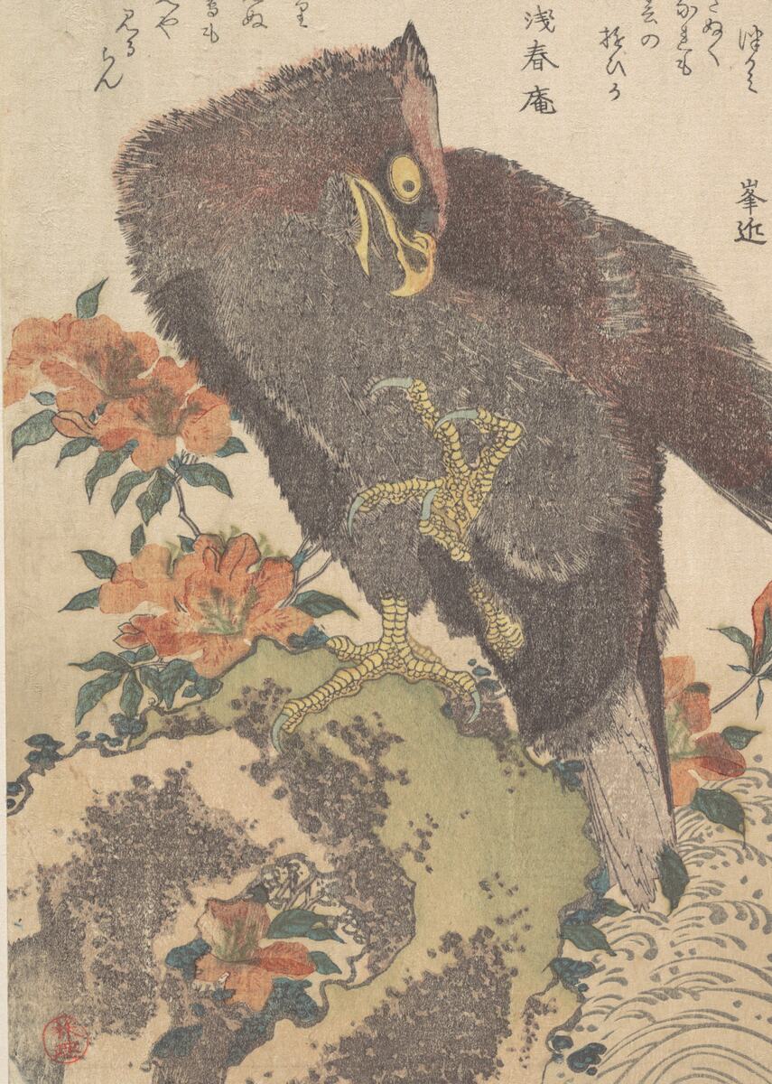 Eagle on a rock, classic flash, Kubo Shunman
