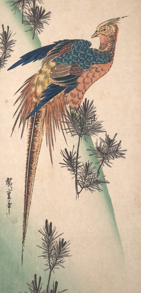 Golden pheasant on pine, classic flash, Utagawa Hiroshige