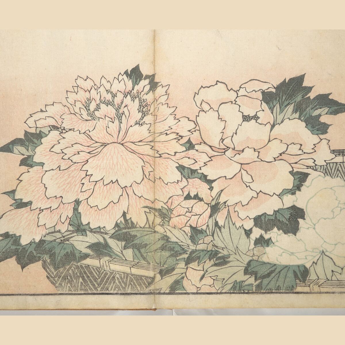 Hokusai peonies, classic flash, Katsushika Hokusai