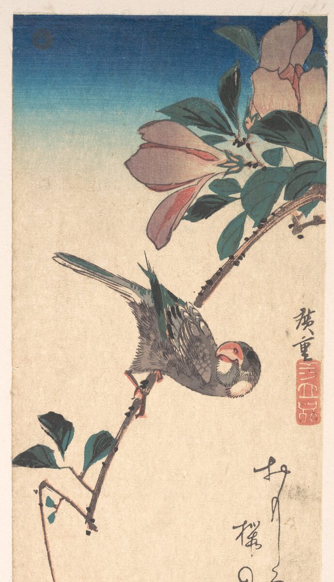 Bird and magnolia, classic flash, Utagawa Hiroshige