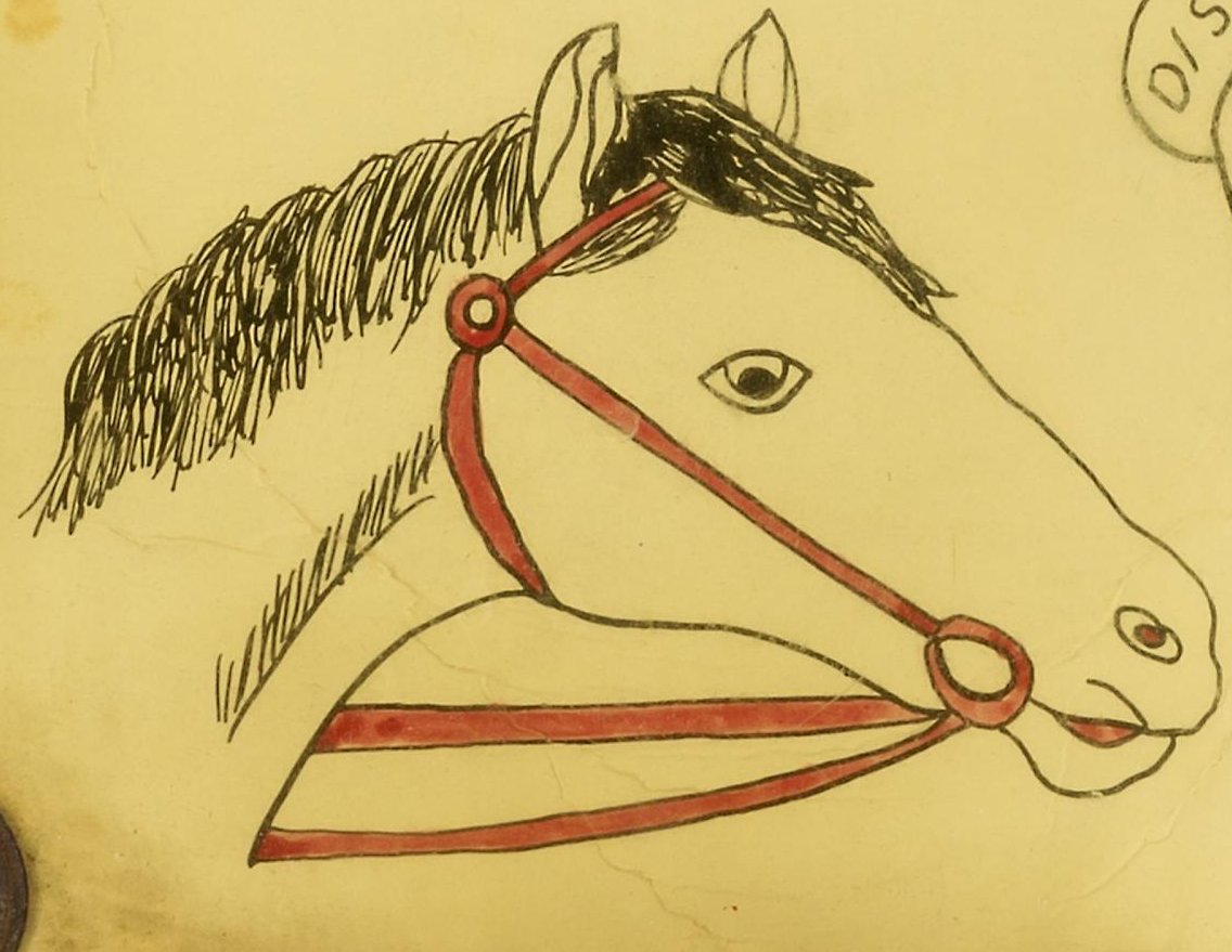 Horse head, classic flash, Smithsonian American Art Museum