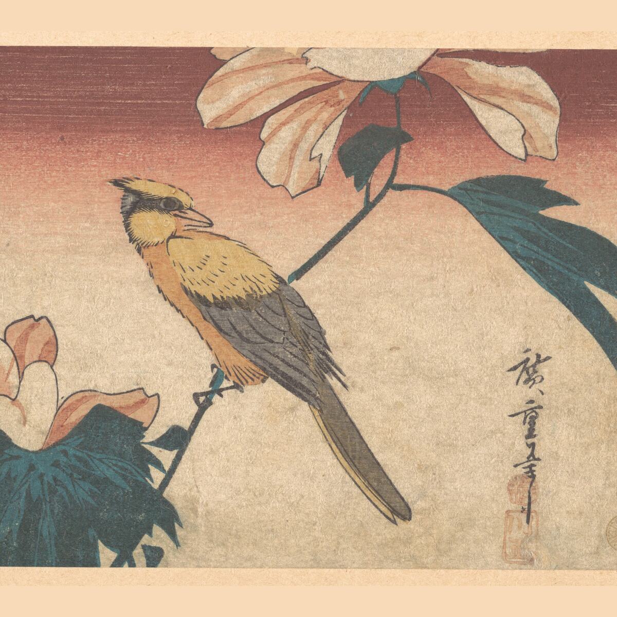 Jay and hibiscus, classic flash, Utagawa Hiroshige