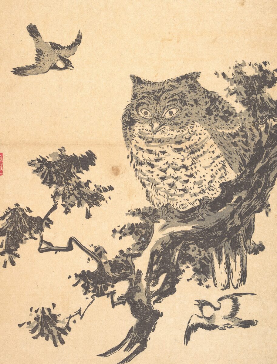 Owl on a pine branch, classic flash, Utagawa Toyohiro