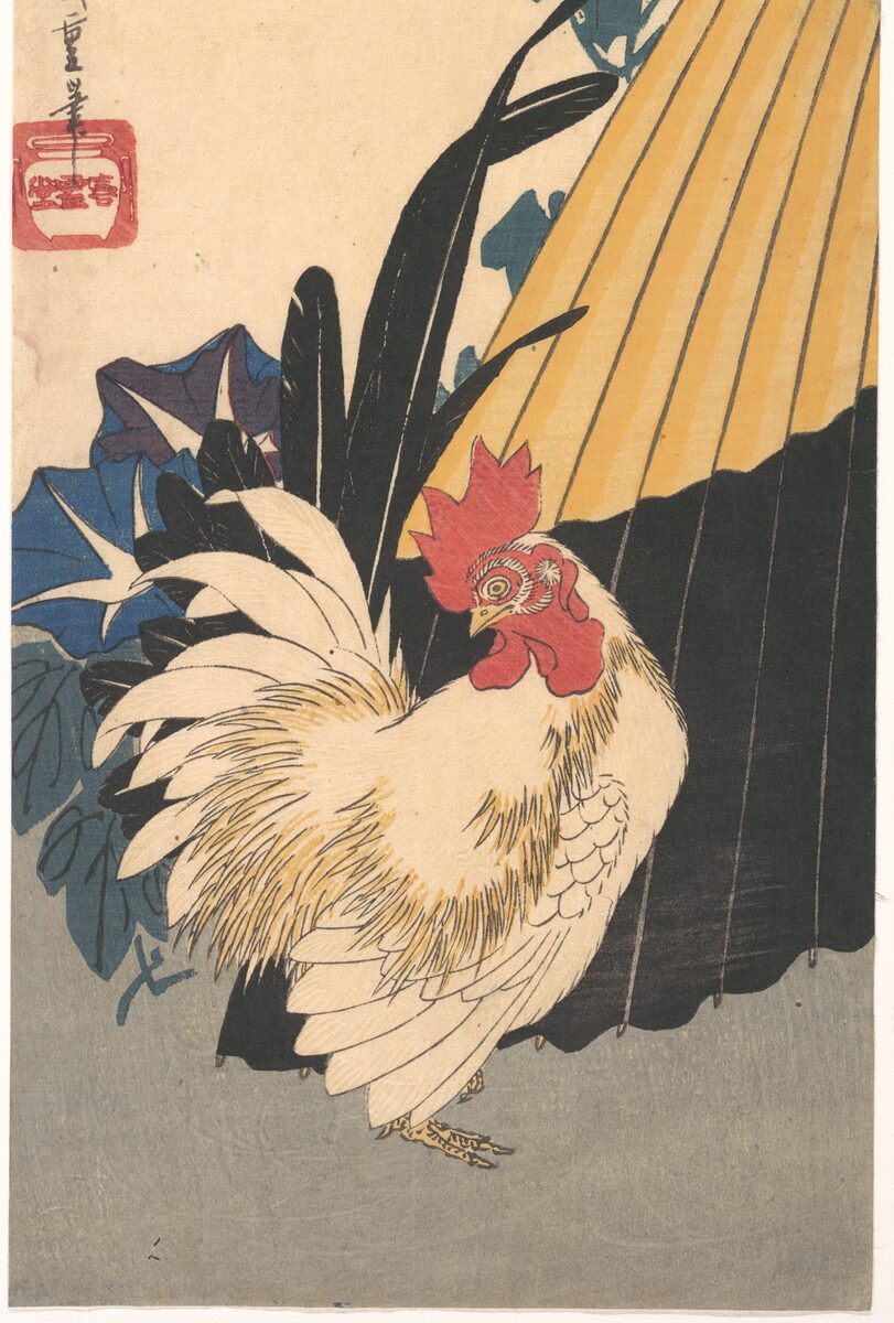 Rooster and morning glories, classic flash, Utagawa Hiroshige