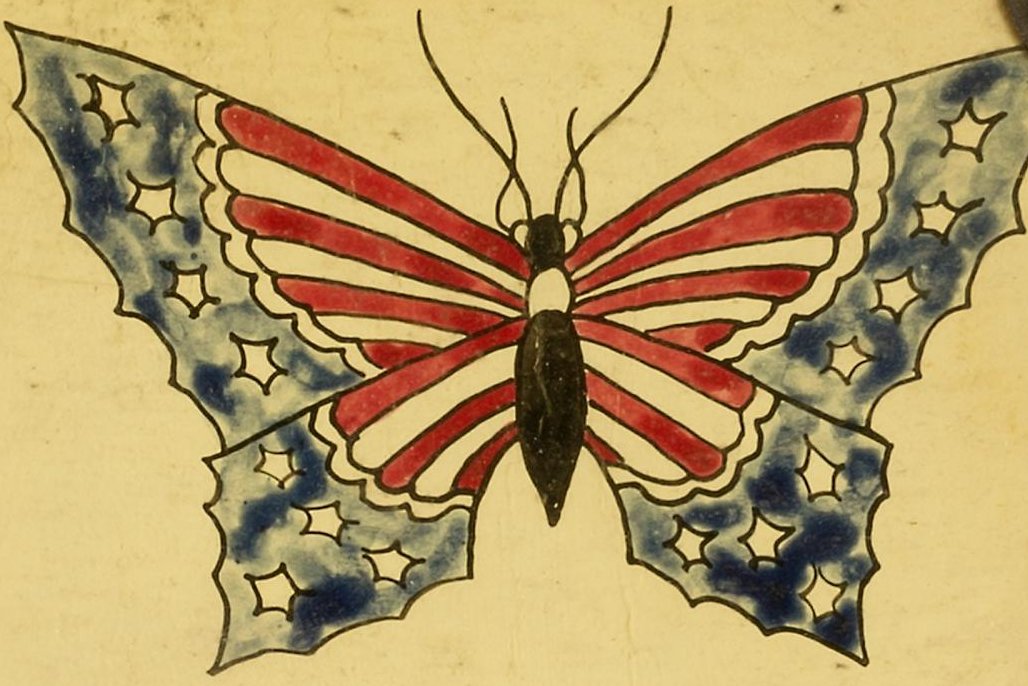 Stars and stripes butterfly, classic flash, Smithsonian American Art Museum