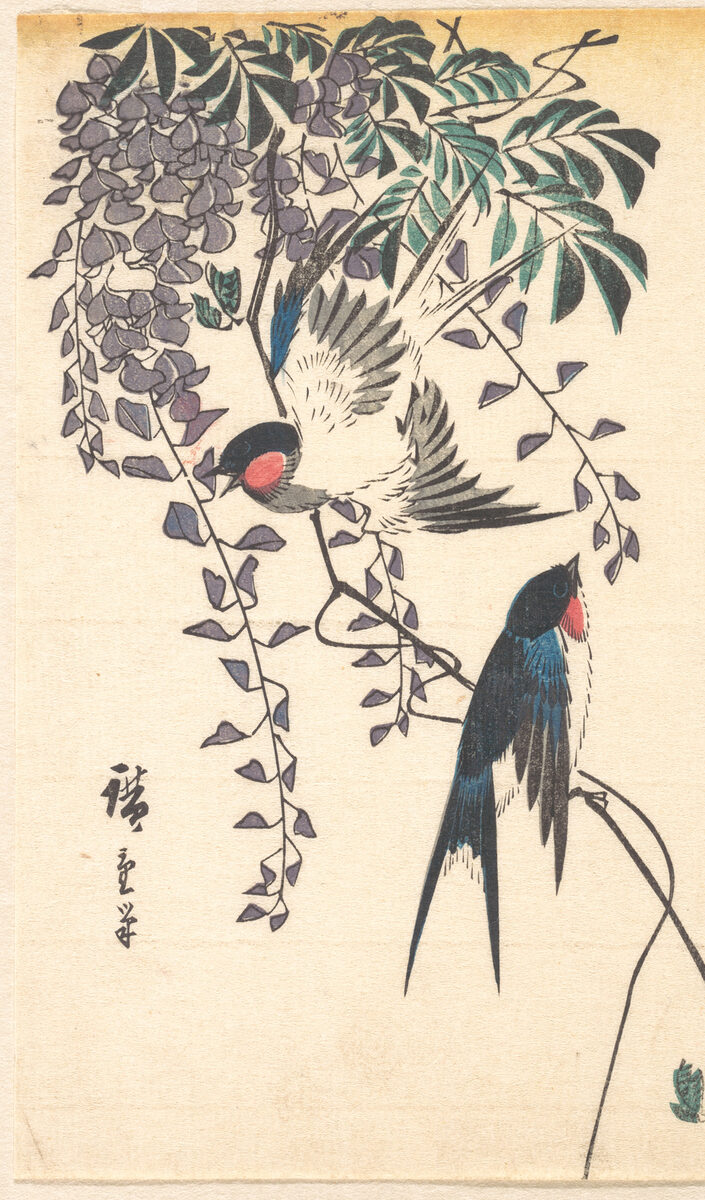 Swallows and wisteria, classic flash, Utagawa Hiroshige