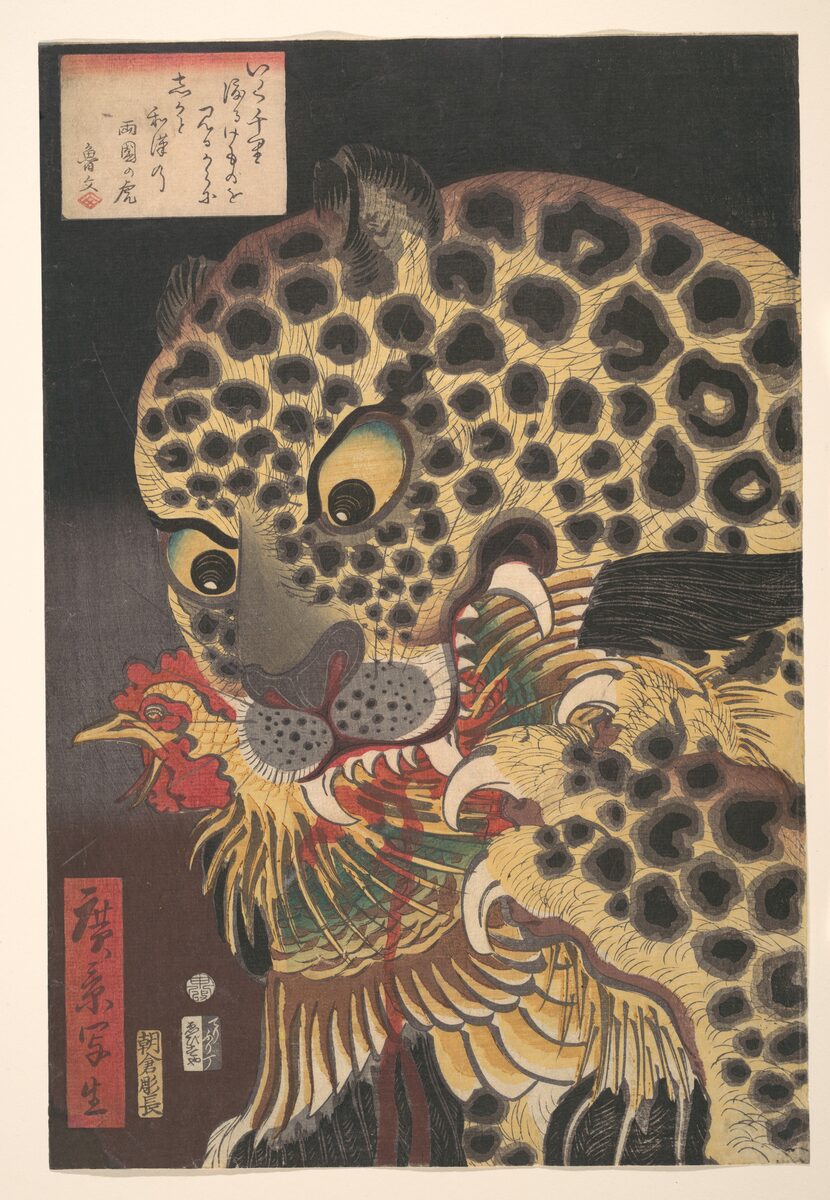 The Tiger of Ryogoku, classic flash, Utagawa Hirokage