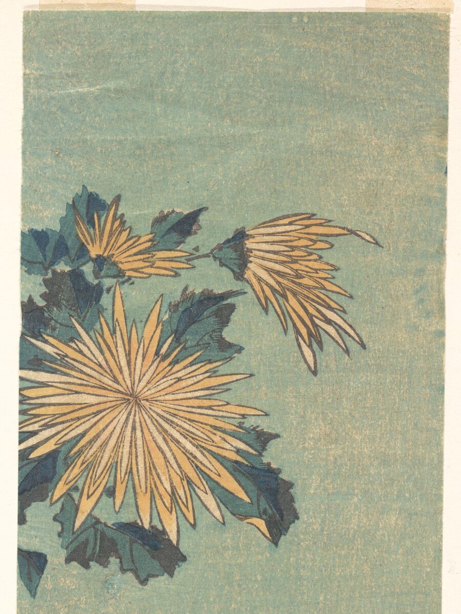 Yellow chrysanthemums, classic flash, Katsushika Hokusai
